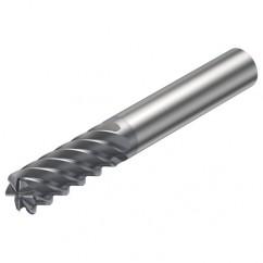 R215.26-10050DAC22H 1610 10mm 6 FL Solid Carbide End Mill - Corner Radius w/Cylindrical Shank - Top Tool & Supply