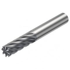 R215.38-08030-AC19H 1610 8mm 8 FL Solid Carbide End Mill - Corner chamfer w/Cylindrical Shank - Top Tool & Supply
