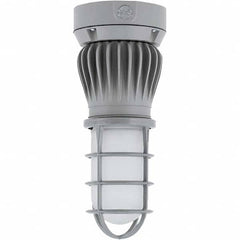 Hubbell Lighting - Hazardous Location Light Fixtures Resistance Features: Vaporproof Recommended Environment: Indoor; Outdoor - Top Tool & Supply