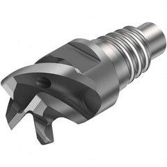 Sandvik Coromant - 10mm Mill Diam, 6mm LOC, 6mm OAL, 4 Flute Square End Mill Head - Top Tool & Supply