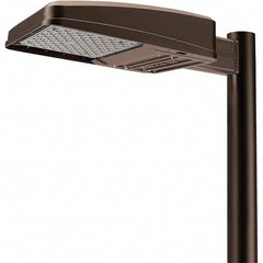 Hubbell Lighting - Parking Lot & Roadway Lights Fixture Type: Area Light Lamp Type: LED - Top Tool & Supply