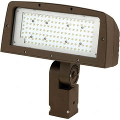 Hubbell Lighting - Floodlight Fixtures Mounting Type: Knuckle Mount Housing Color: Bronze - Top Tool & Supply