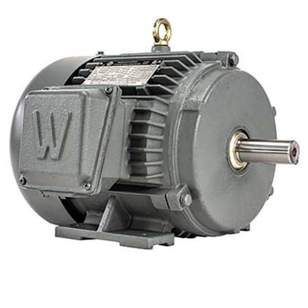 Worldwide Electric - Electric AC/DC Motors Motor Type: Premium Efficient Type of Enclosure: TEFC - Top Tool & Supply