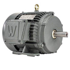 Worldwide Electric - Electric AC/DC Motors Motor Type: Premium Efficient Type of Enclosure: TEFC - Exact Industrial Supply