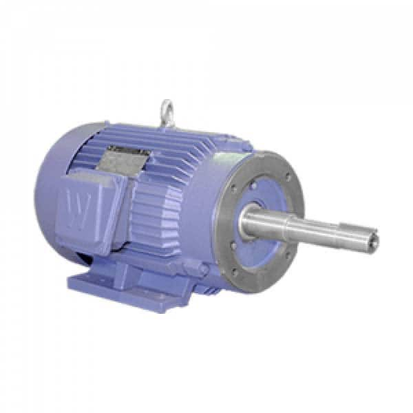 Worldwide Electric - Electric AC/DC Motors Motor Type: Premium Efficient Type of Enclosure: TEFC - Top Tool & Supply