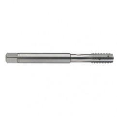 M5 x 0.8 Dia. - 6H - 4 FL - Carbide Semi-Bott Tap - Bright Finish-Coolant-Thru-FORM-C - Top Tool & Supply