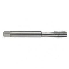 M10 x 1.5 Dia. - 6H - 4 FL - Carbide Semi-Bott Tap - Bright Finish-Coolant-Thru-FORM-C - Top Tool & Supply