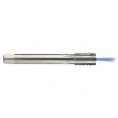 M12 x 1.75 Dia. - 6H - 4 FL - Carbide Semi-Bott Tap - Bright Finish-Coolant-Thru-FORM-C - Top Tool & Supply