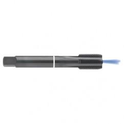 M12 x 1.75 Dia. - 6H - 4 FLX - Cobalt Semi-Bott White Ring Tap - Blk-Ox-Coolant-FORM-C - Top Tool & Supply