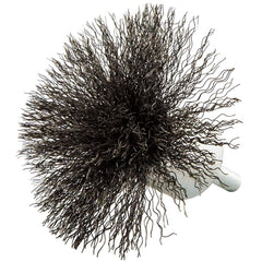 Norton - End Brushes Brush Diameter (Inch): 3 Fill Material: Carbon Steel - Top Tool & Supply