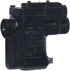 Hoffman Speciality - 2 Port, 1/2" Pipe, Stainless Steel Inverted Bucket Steam Trap - 30 Max psi - Top Tool & Supply