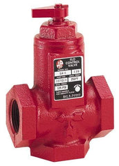 Bell & Gossett - 3/4" Pipe, Cast Iron Manually Operated Plumbing Valve - Buna Seal, FNPT - Top Tool & Supply