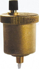 Bell & Gossett - 1/8" Pipe Automatic Air Vent - 150 Max psi, NPTM End Connection - Top Tool & Supply