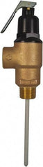 CASH ACME - 3/4" Inlet, 3/4" Outlet, MNPT x MNPT, ASME Safety Relief Valve - 150 Max psi, Bronze, 500000 BTUs - Top Tool & Supply