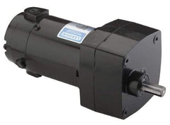 Leeson - 1/150 Max hp, 1.9 Max RPM, Electric AC DC Motor - 115 V Input, Single Phase, 31 Frame - Top Tool & Supply