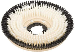 Clarke - 17" Diam Carpet Brush - 17" Machine, Black Pad, Nylon - Top Tool & Supply