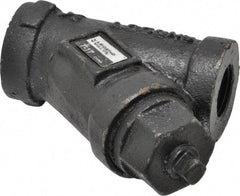 Legend Valve - 1/2" Pipe, FNPT Ends, Cast Iron Y-Strainer - 500 psi WOG Rating, 250 psi WSP Rating - Top Tool & Supply