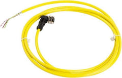 Telemecanique Sensors - 4 Amp, 1/2-20 UNF 3 Pin Elbowed Female Cordset Sensor and Receptacle - 250 VAC, 300 VDC, 2m Cable Length, IP67 Ingress Rating - Top Tool & Supply