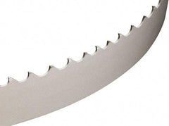 Starrett - 2 to 3 TPI, 12' Long x 1-1/4" Wide x 0.042" Thick, Welded Band Saw Blade - Bi-Metal, Toothed Edge - Top Tool & Supply