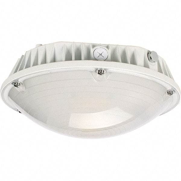 Eiko Global - 40 Watt LED Entry Light - Frosted Polycarbonate Lens, Mogul Base, Pendant & Surface Mount, 120 to 277 Volts, IP65 Ingress Protection, 290mm Long x 114mm High - Top Tool & Supply