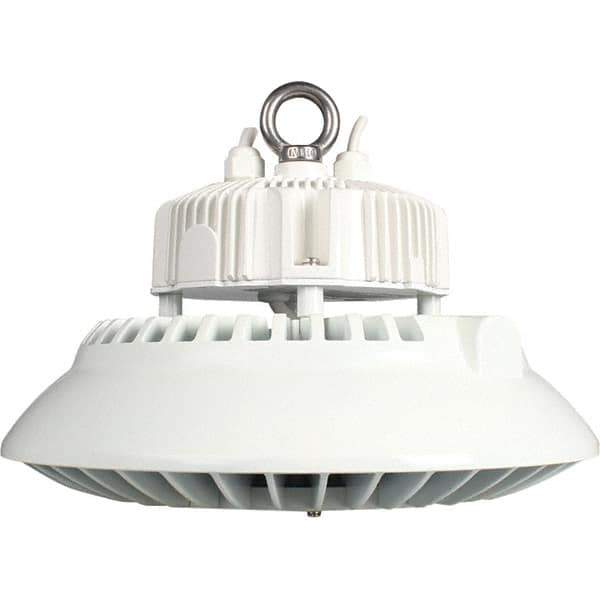 Eiko Global - 1 Lamp, 200 Watts, LED, High Bay Fixture - 250mm High x 11.81" Wide, 120-277 Volt, Steel Housing - Top Tool & Supply