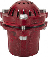 Value Collection - 2" Hose, Foot Valve - Cast Iron - Top Tool & Supply