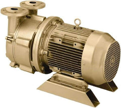 DEKKER Vacuum Technologies - 29 Hg Max, 2-1/2" ANSI 150# RF Flanged Inlet & Discharge, Single Stage Liquid Ring Vaccum Pump - 150 CFM, 10 hp, Cast Iron Housing, 316 Stainless Steel Impeller, 1,750 RPM, 230/460 Volts - Top Tool & Supply