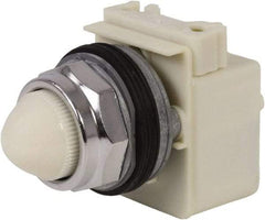 Schneider Electric - 120 VAC White Lens Indicating Light - Screw Clamp Connector - Top Tool & Supply