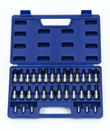 32 Piece - 1/4 & 3/8" Drive - Bit Socket Set - Top Tool & Supply