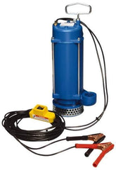 Warren Rupp - 1/3 hp, 12 VDC Amp Rating, 12 VDC Volts, Nonautomatic Operation, Dewatering Pump - Aluminum Housing - Top Tool & Supply