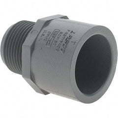 Value Collection - 1" CPVC Plastic Pipe Male Adapter - MIPT x Slip End Connections - Top Tool & Supply