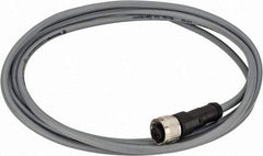 Telemecanique Sensors - 3 Amp, M12 4 Pin Female Straight Cordset Sensor and Receptacle - 250 VAC, 300 VDC, 2m Cable Length, IP67 Ingress Rating - Top Tool & Supply