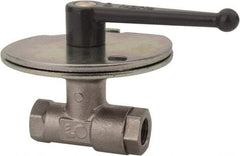 Legris - 1/4" Pipe, Female Port, Nickel Plated Brass Standard Ball Valve - Inline - One Way Flow, FBSPP x FBSPP Ends, Lever Handle, 580 WOG - Top Tool & Supply