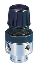 Parker - 1/2 NPT Port, 80 CFM, Stainless Steel Standard Regulator - 0 to 250 psi Range, 300 Max psi Supply Pressure, 1/4" Gauge Port Thread, 2.43" Wide x 4.97" High - Top Tool & Supply