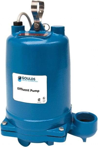 Goulds Pumps - 1 hp, 575 Amp Rating, 575 Volts, Single Speed Continuous Duty Operation, Effluent Pump - 3 Phase, Cast Iron Housing - Top Tool & Supply