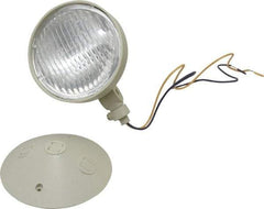 Mule - 1 Head, 12 VDC, Polycarbonate, Incandescent Remote Emergency Lighting Head - 25 Watt, Battery Not Included - Top Tool & Supply