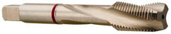 Accupro - #10-24 3 Flute Modified Bottoming Spiral Flute Tap - Vanadium High Speed Steel, Bright Finish, 2-3/8" OAL, Right Hand Flute, Right Hand Thread, H5 - Top Tool & Supply