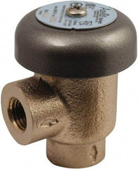 Conbraco - 3/4" Pipe, 125 Max psi, Bronze, Coated Lead Free Bronze, Atmospheric Type Vacuum Breaker Valve - Silicon Carbide Seal, Female NPT End Connections, Use with Potable Water Applications - Top Tool & Supply