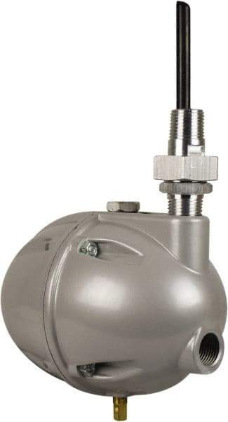 PRO-SOURCE - 1/2" Inlet, Mechanical Float Condensate Drain - 1/2" NPT Outlet, 45 to 230 psi - Top Tool & Supply