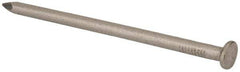 Made in USA - 20D, 6 Gauge, 4" OAL Common Nails - Smooth Shank, T304 Stainless Steel - Top Tool & Supply