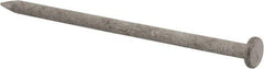 Value Collection - 16D, 8 Gauge, 3-1/2" OAL Common Nails - Ring Shank, Grade 2 Steel, Galvanized Finish - Top Tool & Supply