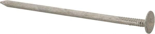 Value Collection - 11 Gauge, 3" OAL Roofing Nails - Ring Shank, Grade 2 Steel, Galvanized Finish - Top Tool & Supply