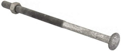 Value Collection - 1/2-13 UNC 10" Length Under Head, Standard Square Neck, Carriage Bolt - 1006-1050 Steel, Galvanized Zinc-Plated Finish - Top Tool & Supply