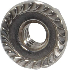 Value Collection - #10-24, 1/2" Flange Diam, Serrated Flange Nut - Grade 18-8 Stainless Steel, 7/32" Flange Height - Top Tool & Supply