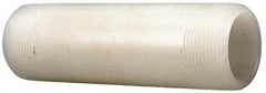 NIBCO - 3/4" Pipe, 4" Long PVDF Threaded Plastic Pipe Nipple - Schedule 80, Natural - Top Tool & Supply