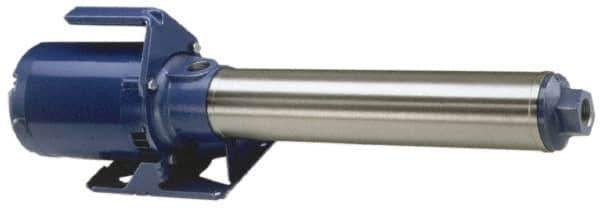 Goulds Pumps - 3/4 hp, 1 Phase, 115/230 Volt, Suction and Gravity Feed Pump, Multi Stage Booster Pump - Water Supply Booster, ODP Motor, 9 Stage - Top Tool & Supply