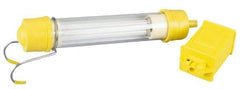 Conductix - 13 Watt, Electric, Fluorescent Portable Handheld Work Light - 1 Head - Top Tool & Supply