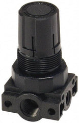 Parker - 3/8 NPT Port, Plastic Miniature Regulator - 0 to 60 psi Range, 150 Max psi Supply Pressure, 1/4" Gauge Port Thread, 2.06" Wide x 3.43" High - Top Tool & Supply