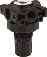 Parker - 3/8 NPT Port, Plastic Miniature Regulator - 0 to 125 psi Range, 150 Max psi Supply Pressure, 1/4" Gauge Port Thread, 2.06" Wide x 3.43" High - Top Tool & Supply