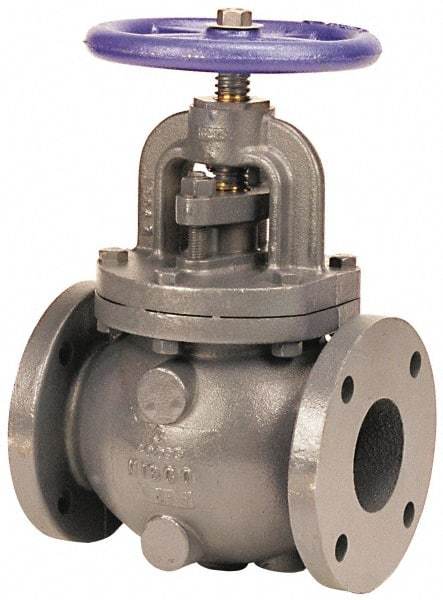 NIBCO - 2-1/2" Pipe, Flanged Ends, Iron Renewable Globe Valve with Bypass - Bronze Disc, Bolted Bonnet, 200 psi WOG, 125 psi WSP, Class 125 - Top Tool & Supply